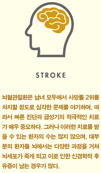 [2016년 한양대학교의료원의 연구성과] ③ 신경재생 연구로 뇌손상 후유 장애를 최소화하다
