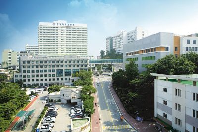 위암. 유방암 '치료 잘하는 병원'으로 선정