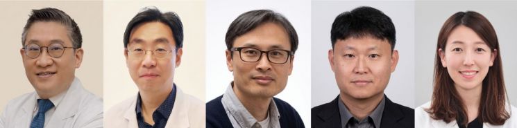 서울아산병원, 난치성 간암 새 바이오마커 규명…AI 진단·치료법 제시 
