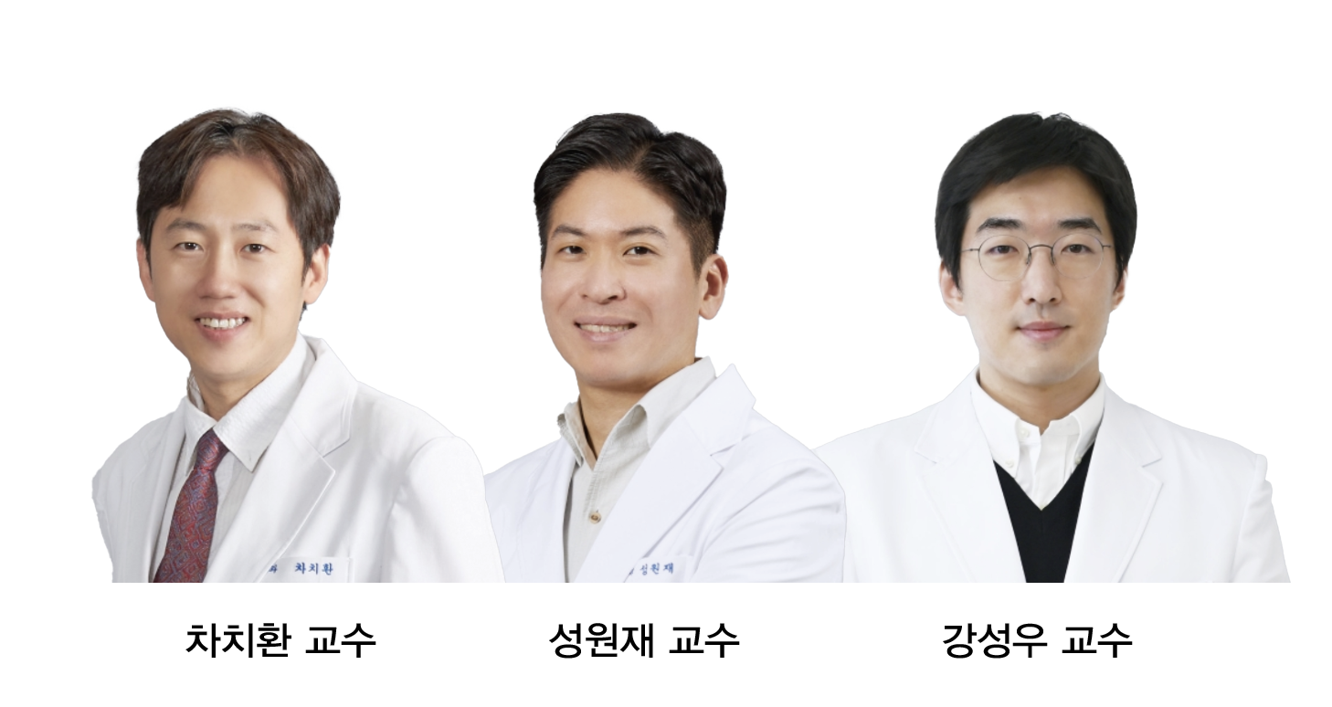 차치환, 성원재, 강성우 교수