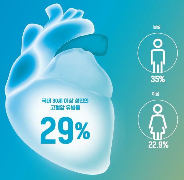 국내 30세 이상 성인의 고혈압 유병률, 29% (남성 35%, 여성 22.9%)